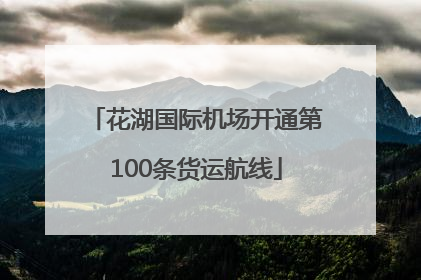 花湖国际机场开通第100条货运航线