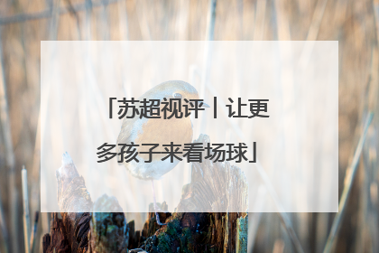 苏超视评︱让更多孩子来看场球