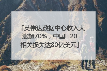 英伟达数据中心收入大涨超70%，中国H20相关损失达80亿美元