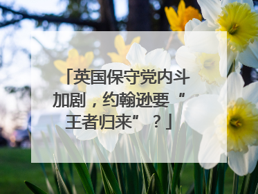 英国保守党内斗加剧，约翰逊要“王者归来”？