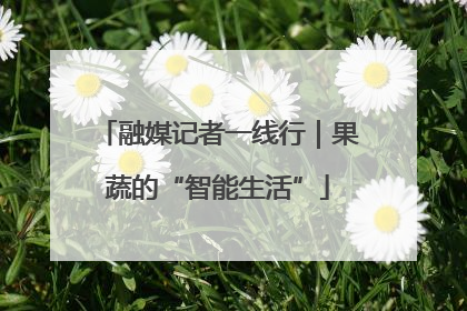 融媒记者一线行｜果蔬的“智能生活”