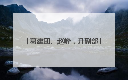 葛建团、赵峰，升副部