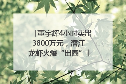 董宇辉4小时卖出3800万元，潜江龙虾火爆“出圈”