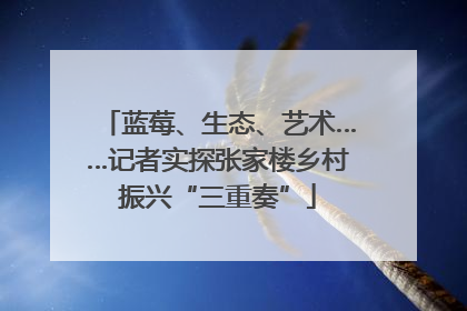 蓝莓、生态、艺术……记者实探张家楼乡村振兴“三重奏”