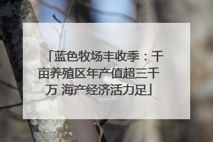 蓝色牧场丰收季：千亩养殖区年产值超三千万 海产经济活力足