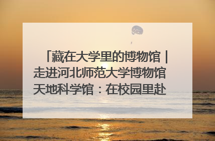 藏在大学里的博物馆｜走进河北师范大学博物馆天地科学馆：在校园里赴一场“宇宙之约”