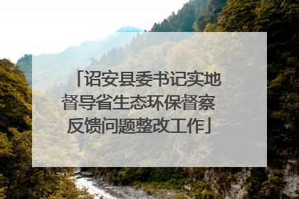 诏安县委书记实地督导省生态环保督察反馈问题整改工作