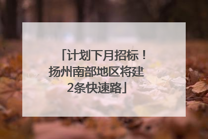 计划下月招标！扬州南部地区将建2条快速路