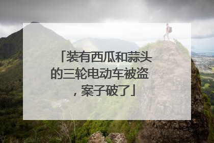 装有西瓜和蒜头的三轮电动车被盗，案子破了
