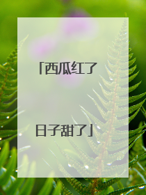 西瓜红了 日子甜了