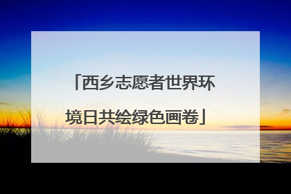 西乡志愿者世界环境日共绘绿色画卷