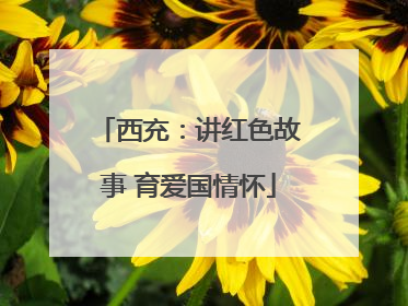 西充：讲红色故事 育爱国情怀