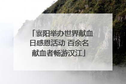襄阳举办世界献血日感恩活动 百余名献血者畅游汉江