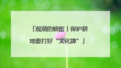 观潮的螃蟹丨保护耕地要打好“文化牌”