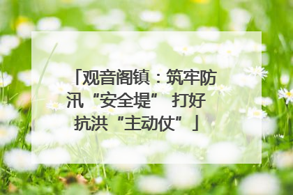 观音阁镇：筑牢防汛“安全堤” 打好抗洪“主动仗”