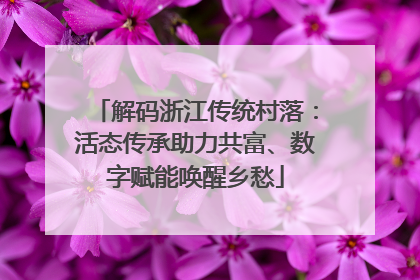 解码浙江传统村落：活态传承助力共富、数字赋能唤醒乡愁