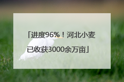 进度96%！河北小麦已收获3000余万亩