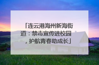 连云港海州新海街道：禁毒宣传进校园，护航青春助成长