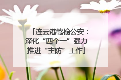 连云港赣榆公安：深化“四个一”强力推进“主防”工作