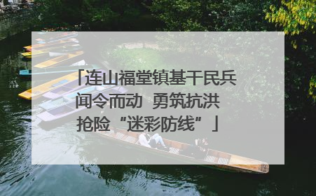 连山福堂镇基干民兵闻令而动  勇筑抗洪抢险“迷彩防线”