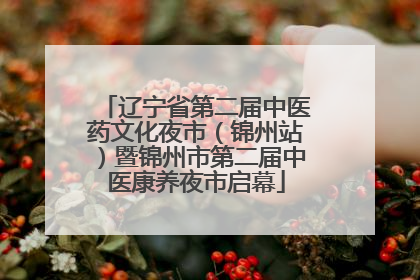 辽宁省第二届中医药文化夜市（锦州站）暨锦州市第二届中医康养夜市启幕