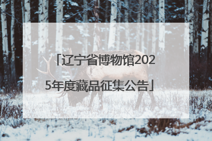 辽宁省博物馆2025年度藏品征集公告