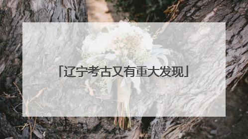辽宁考古又有重大发现
