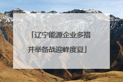 辽宁能源企业多措并举备战迎峰度夏