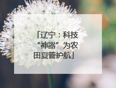 辽宁：科技“神器”为农田夏管护航