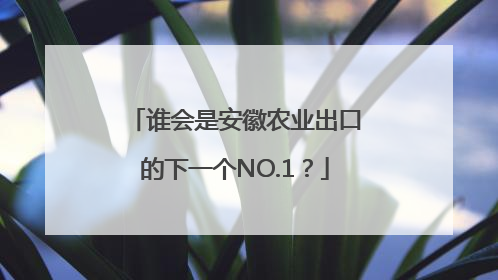 谁会是安徽农业出口的下一个NO.1？