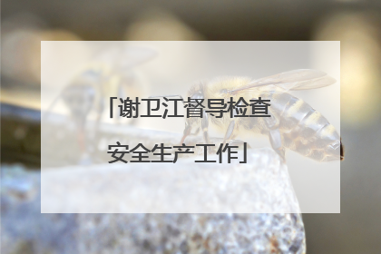 谢卫江督导检查安全生产工作