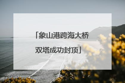 象山港跨海大桥双塔成功封顶