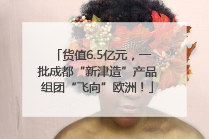 货值6.5亿元，一批成都“新津造”产品组团“飞向”欧洲！