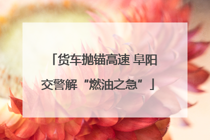 货车抛锚高速 阜阳交警解“燃油之急”