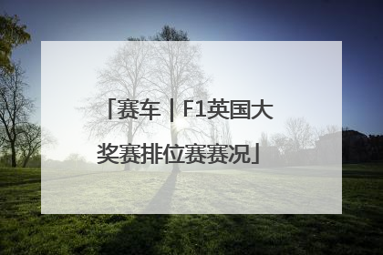 赛车｜F1英国大奖赛排位赛赛况