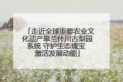 走近全球重要农业文化遗产皋兰什川古梨园系统 守护生态瑰宝 激活发展动能