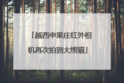 越西申果庄红外相机再次拍到大熊猫
