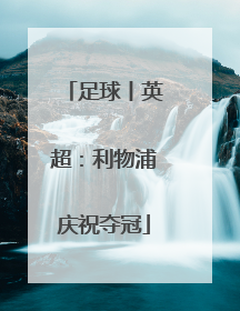 足球丨英超：利物浦庆祝夺冠
