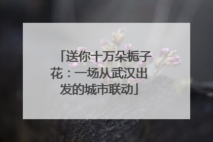 送你十万朵栀子花：一场从武汉出发的城市联动