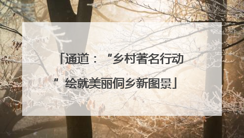 通道：“乡村著名行动”绘就美丽侗乡新图景