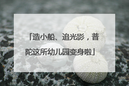 造小船、追光影，普陀这所幼儿园变身啦