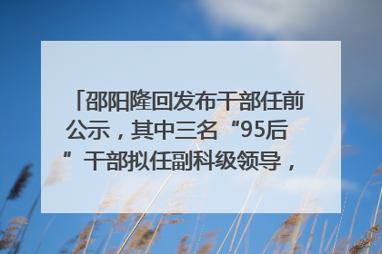 邵阳隆回发布干部任前公示，其中三名“95后”干部拟任副科级领导，均系硕士选调生