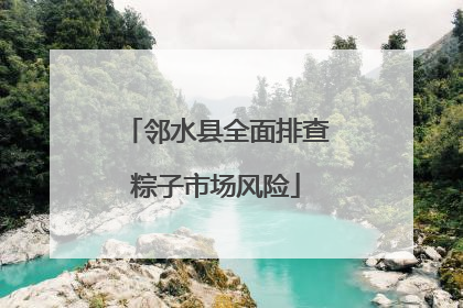 邻水县全面排查粽子市场风险