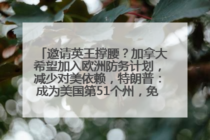 邀请英王撑腰？加拿大希望加入欧洲防务计划，减少对美依赖，特朗普：成为美国第51个州，免费用“金穹”