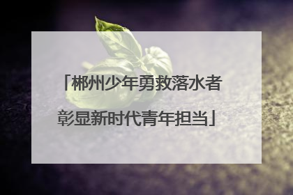 郴州少年勇救落水者 彰显新时代青年担当