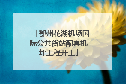 鄂州花湖机场国际公共货站配套机坪工程开工