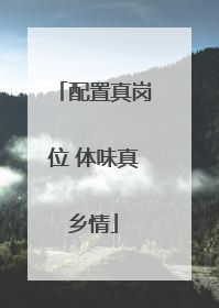 配置真岗位 体味真乡情