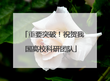 重要突破！祝贺我国高校科研团队