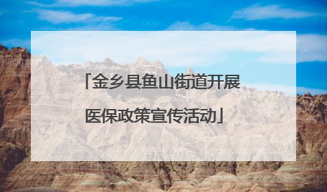 金乡县鱼山街道开展医保政策宣传活动