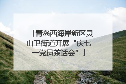 青岛西海岸新区灵山卫街道开展“庆七一党员茶话会”